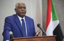 amendment to the Sudanese intelligence law