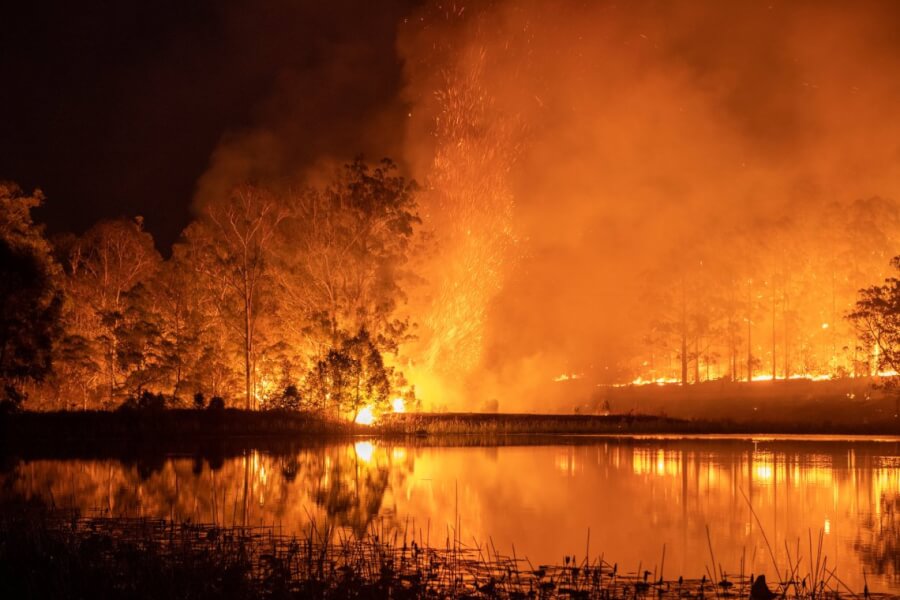 Australia Bush Fire Horrific View Jungle e1582135161727