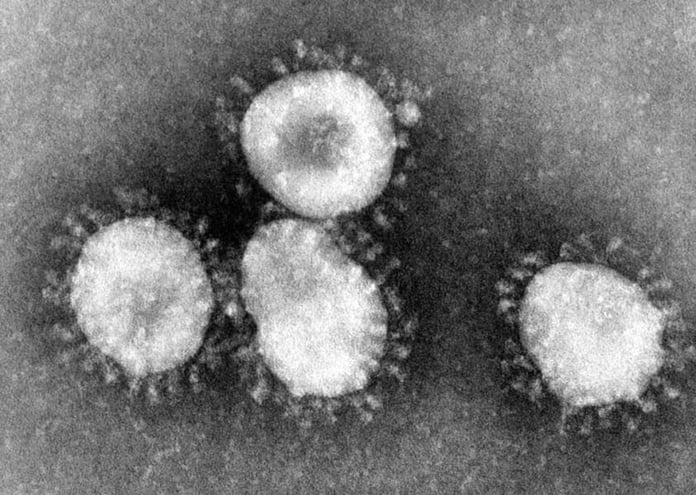 who coronavirus has pandemic potential