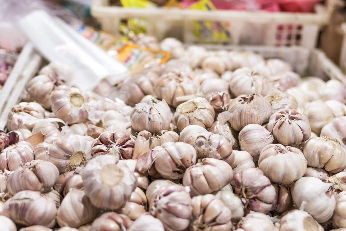 Garlic Herbal Antibiotics Fighting Infections Naturally