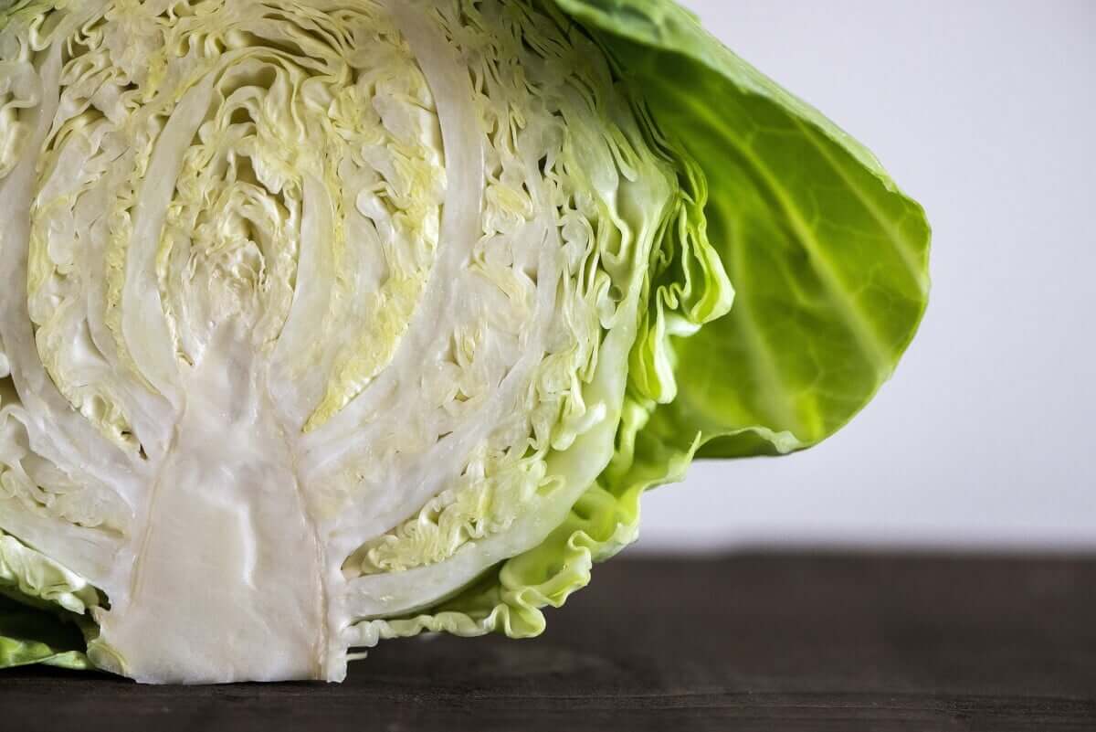 Head full of health and vitamins: Cabbage has a preventive effect against cancer