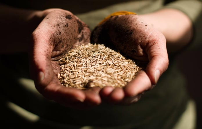 Russia sets terms for grain deal


