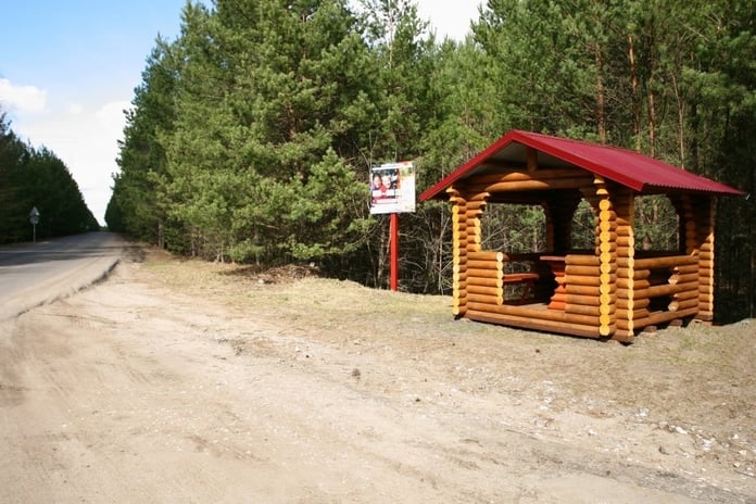 Recreational areas for residents and guests of the region are arranged in the forests of Tambov


