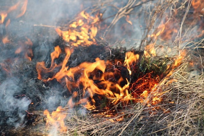 The first forest fire broke out in Chuvashia this weekend

