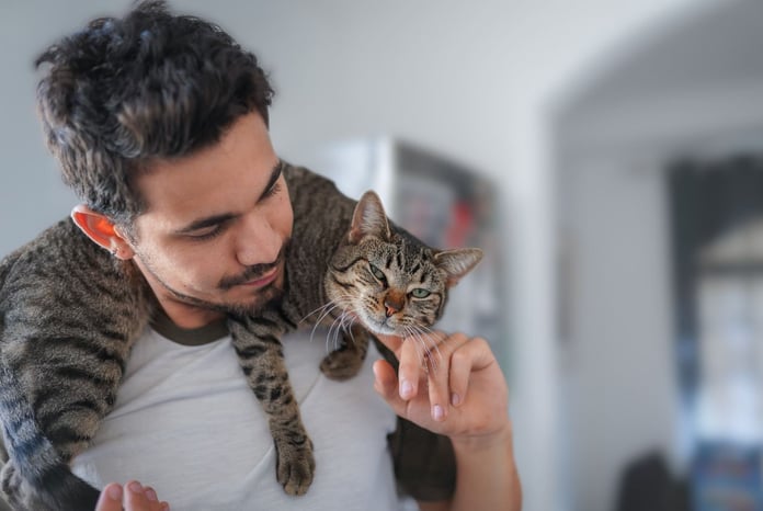 It's harder on Tinder for men who own cats

