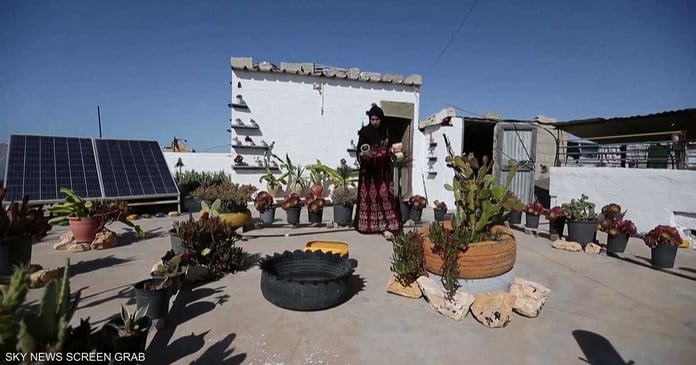 With tires and packaging... A couple transforms the roof of their house into a square of greenery

