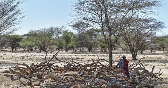 America supports Horn of Africa with $524 million to fight drought

