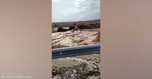 Losses following the "Jordan floods"... and a video of terrifying scenes

