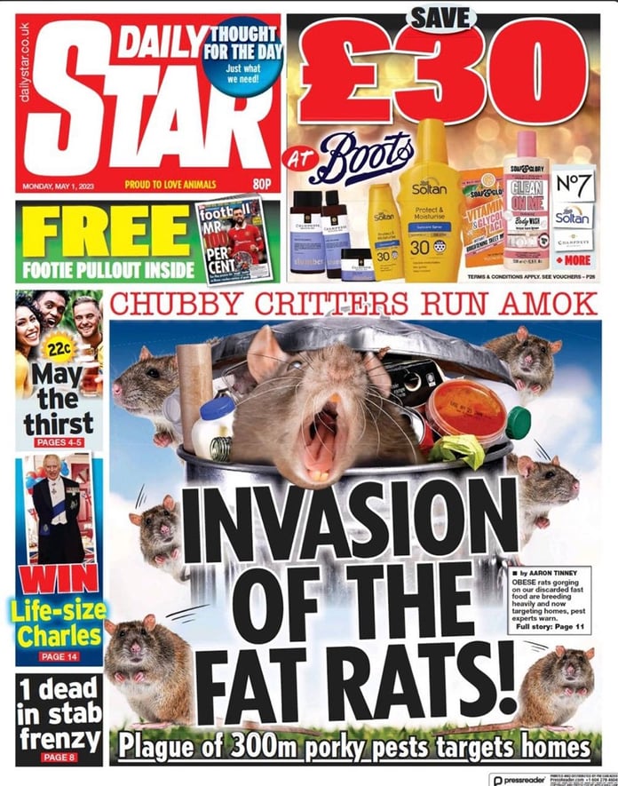 Britain warns of mutant rodent invasion - Reuters

