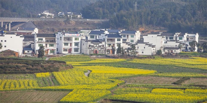 China considers the overall development of rural areas important for modernization

