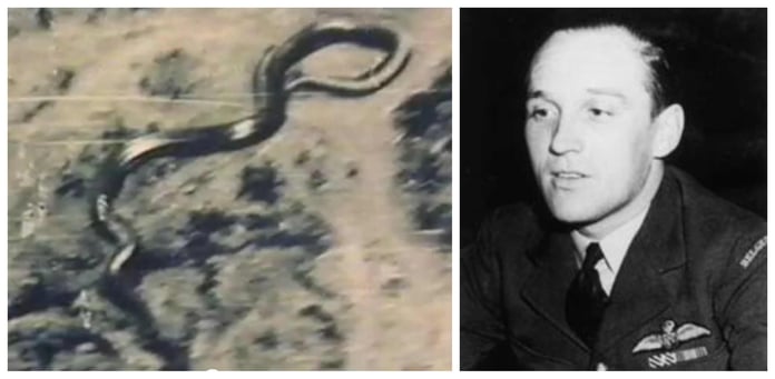Fifteen-meter snake jumped and tried to fly in a helicopter - What kind of snake did the colonel take a picture of in the Congo?

