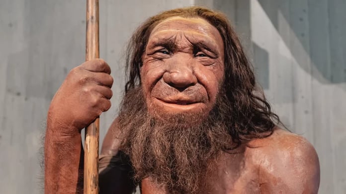  Neanderthals turned out to be advanced chemists.  This was shown by the analysis of ancient tar

