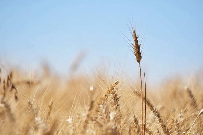 the problem of extending the grain agreement is related to non-compliance with Russian demands

