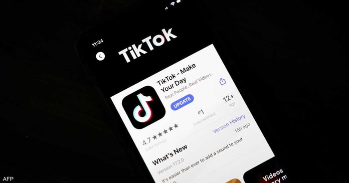 TikTok plans to invest 