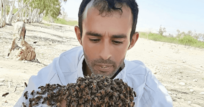 After the ordeal of the floods... A feat that makes the Jordanian apiary happy

