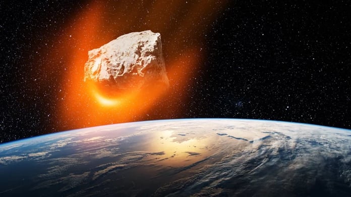 Human ancestors survived the asteroid impact that killed the dinosaurs

