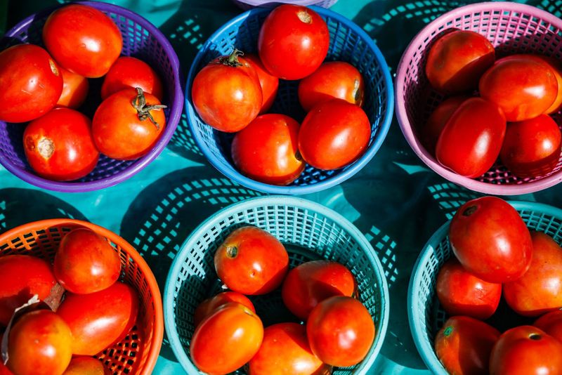 Soaring Prices of Tomatoes Spur Windfall for Indian Farmers