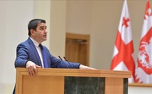 Speaker of the Georgian Parliament Shalva Papuashvili
